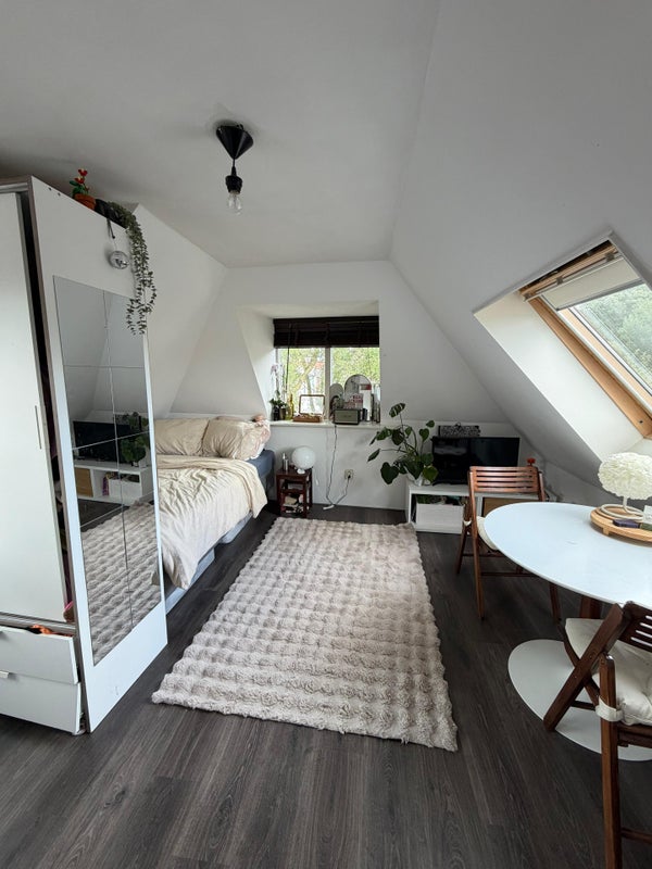 For rent:  Groningen  / €655.00 p.m. / 16.00m2