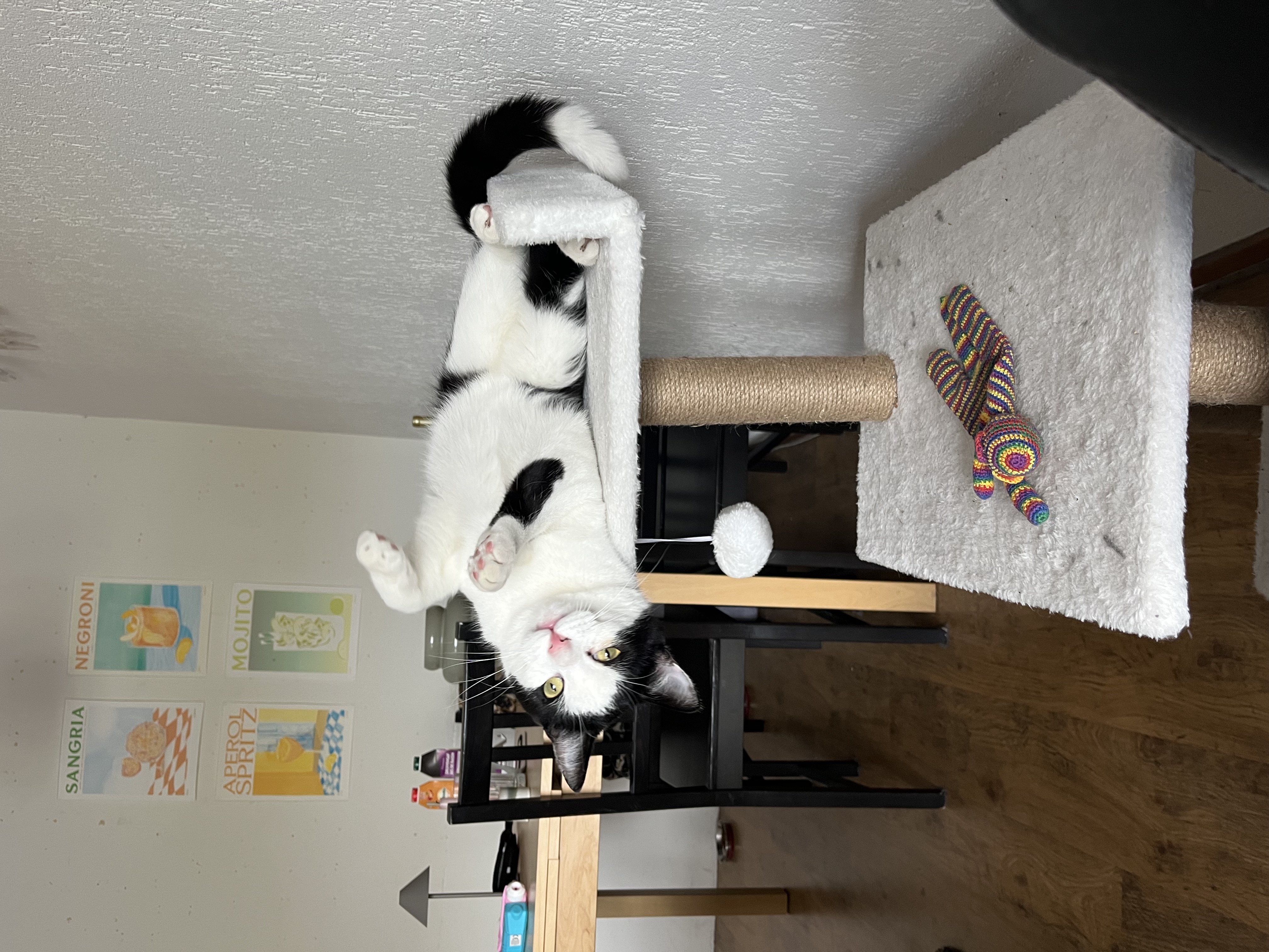 For rent: Groningen / €408 p.m. / 10m2