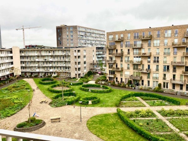 For rent: Amsterdam