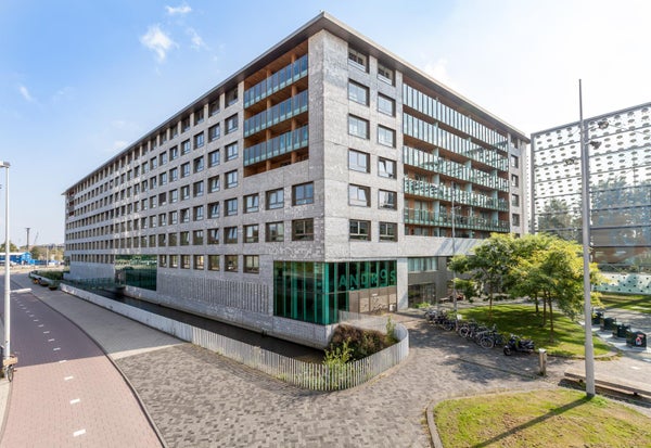 For rent: Amsterdam