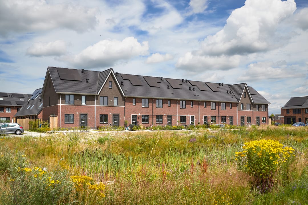 For rent: Assen