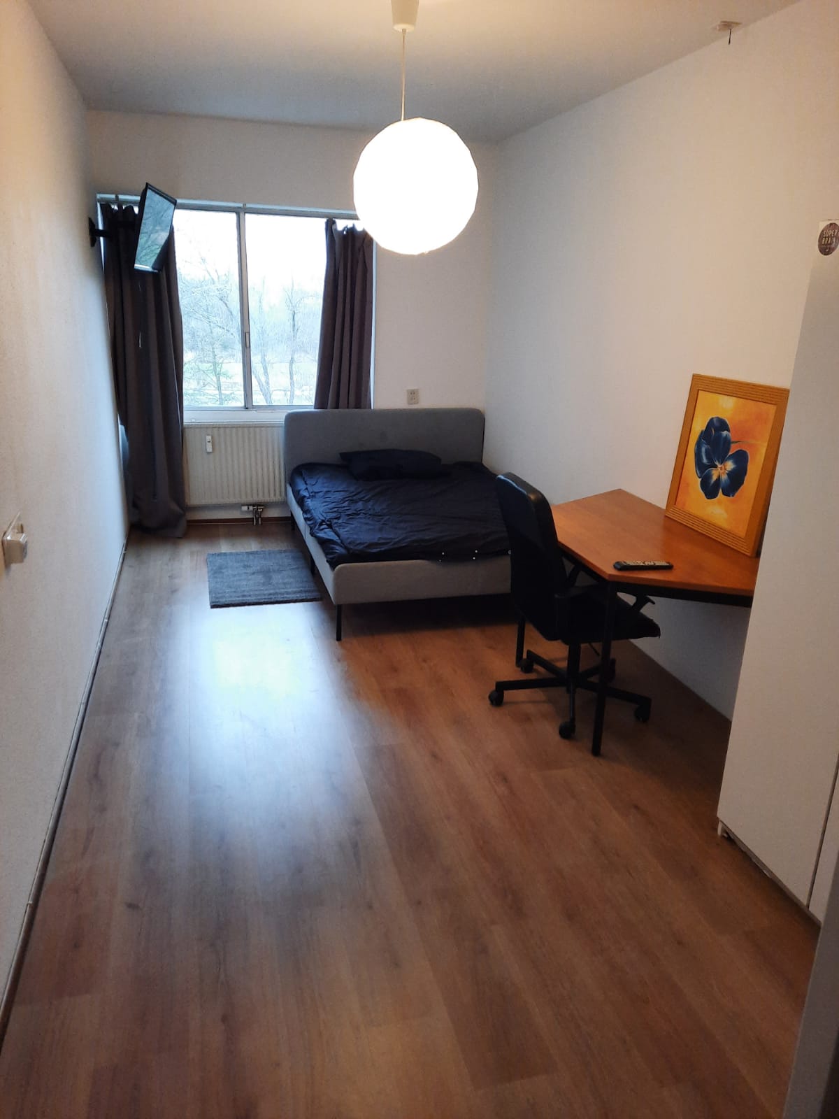 For rent: Amsterdam