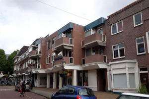 For rent: Rijswijk (ZH)