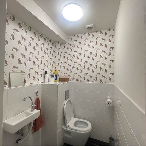 Te huur: Den Haag / €625 p.m. / 11m2