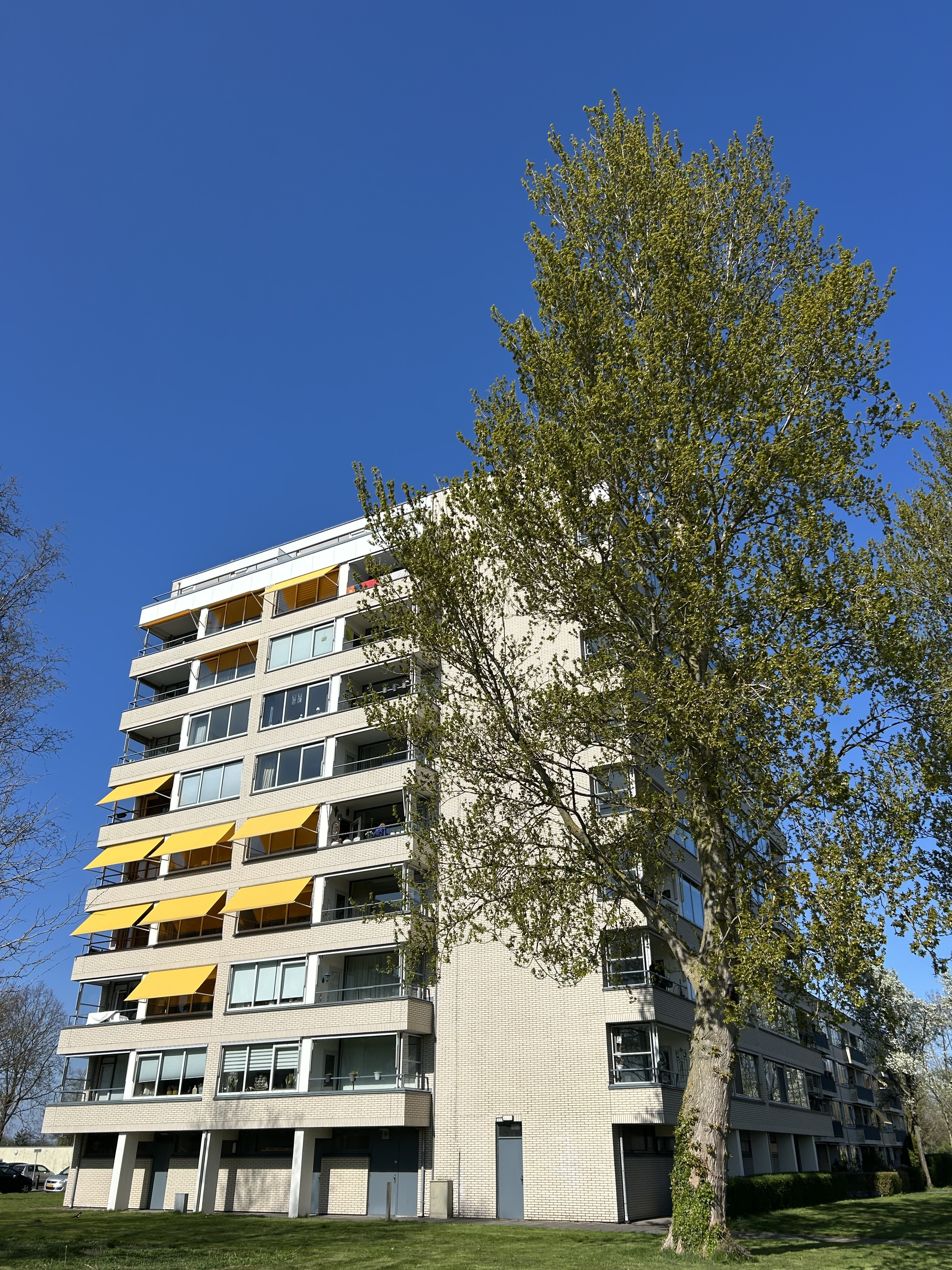 Te huur: Voorschoten