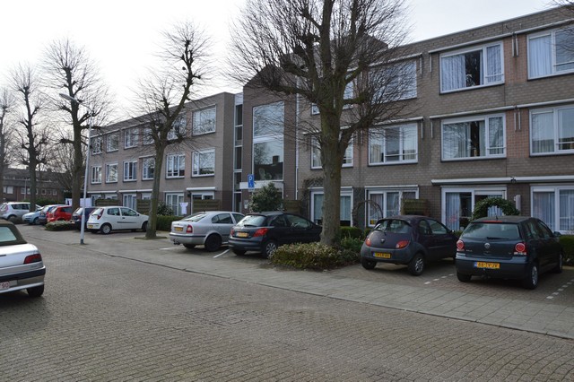 Te huur: Terneuzen