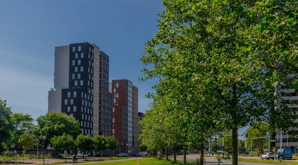 For rent: Leiden