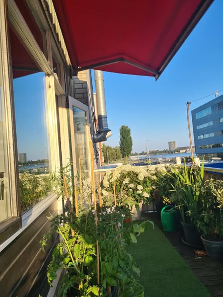 For rent: Amsterdam