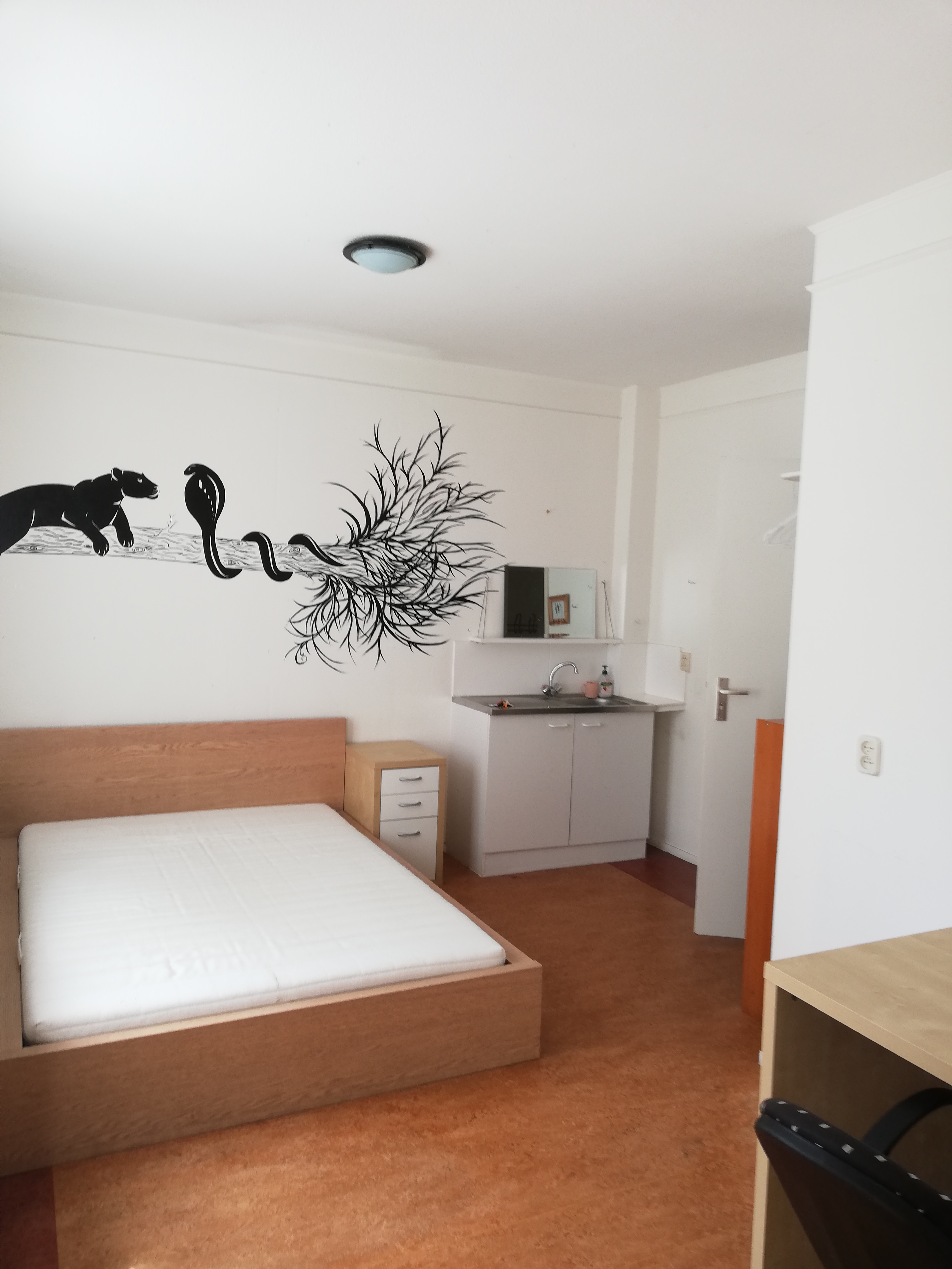 Te huur: Leeuwarden / €435 p.m. / 12m2