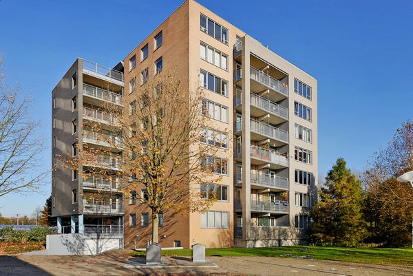 For rent: Amsterdam