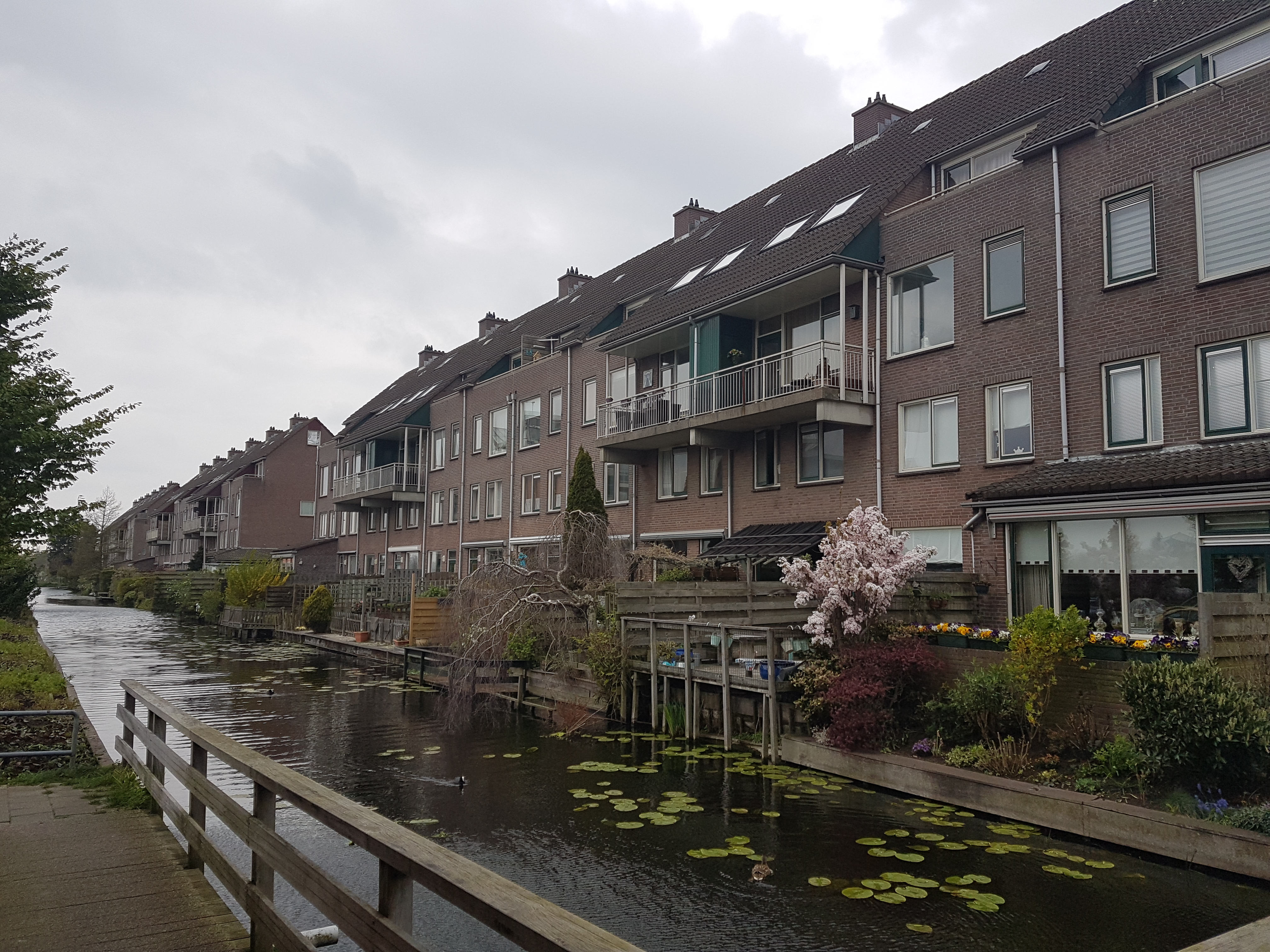 For rent: Boskoop / €782 p.m. / 25m2