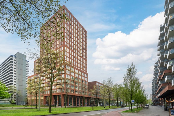 For rent: Delft