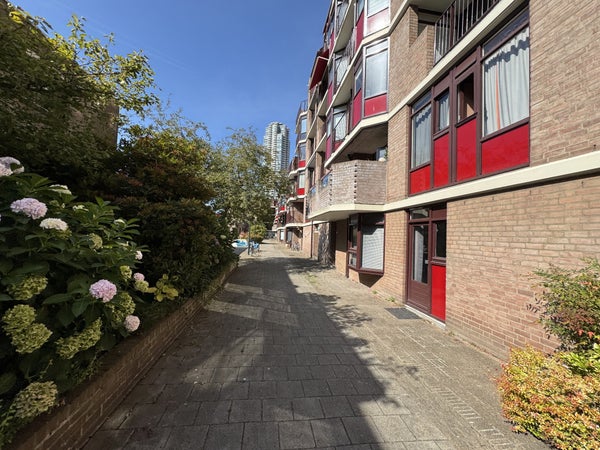 For rent: Rotterdam