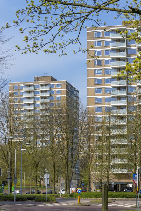 Te huur: Amsterdam