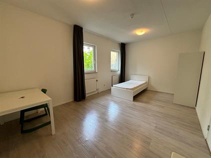 Te huur: Maastricht / €907,00 p.m. / 19,00m2