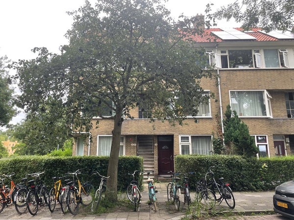 For rent: Groningen
