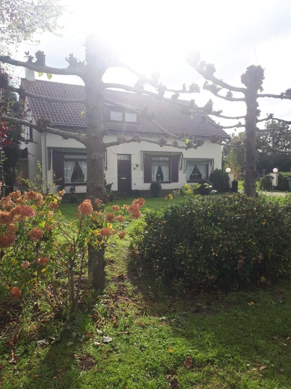 For rent: Eindhoven / €900.00 p.m. / 16.00m2