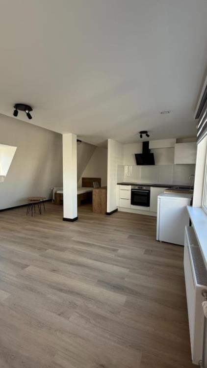 For rent: Schiedam / €1350.00 p.m. / 50.00m2