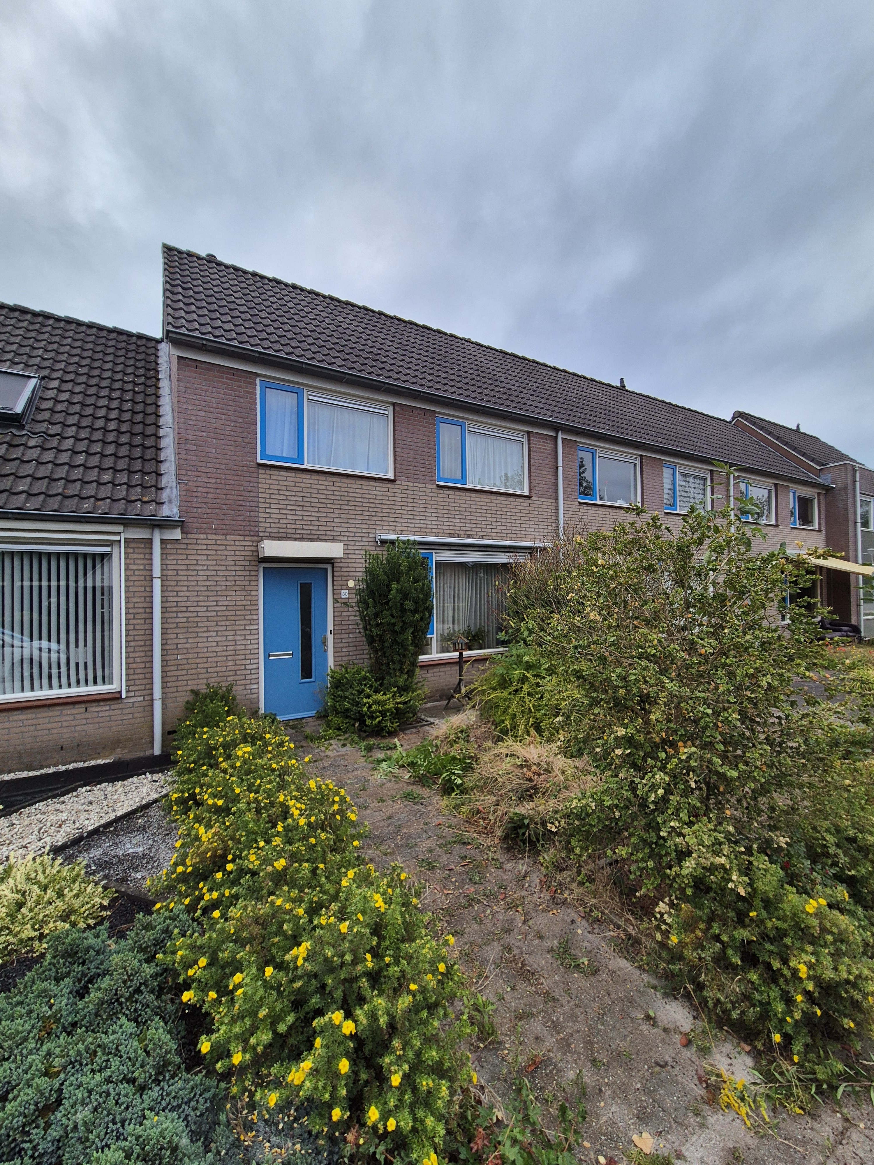 For rent: Heino