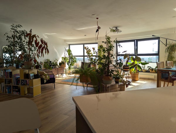 For rent: Rotterdam