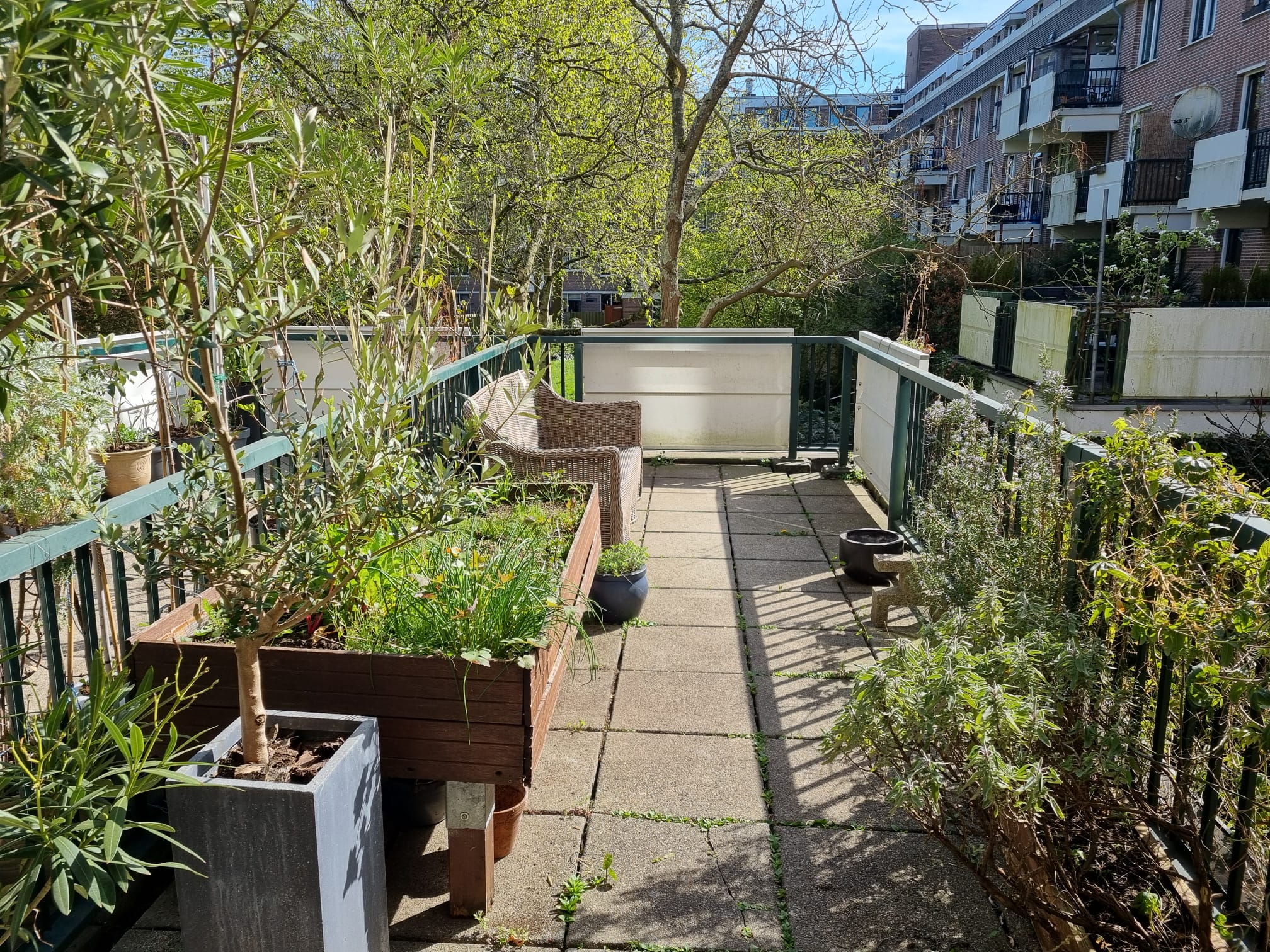 For rent: Amsterdam