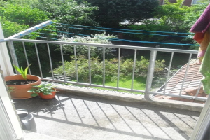 Te huur: Groningen / €509,00 p.m. / 10,00m2