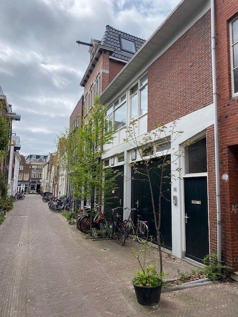 Te huur:  Groningen  / €1303 p.m. / 85m2