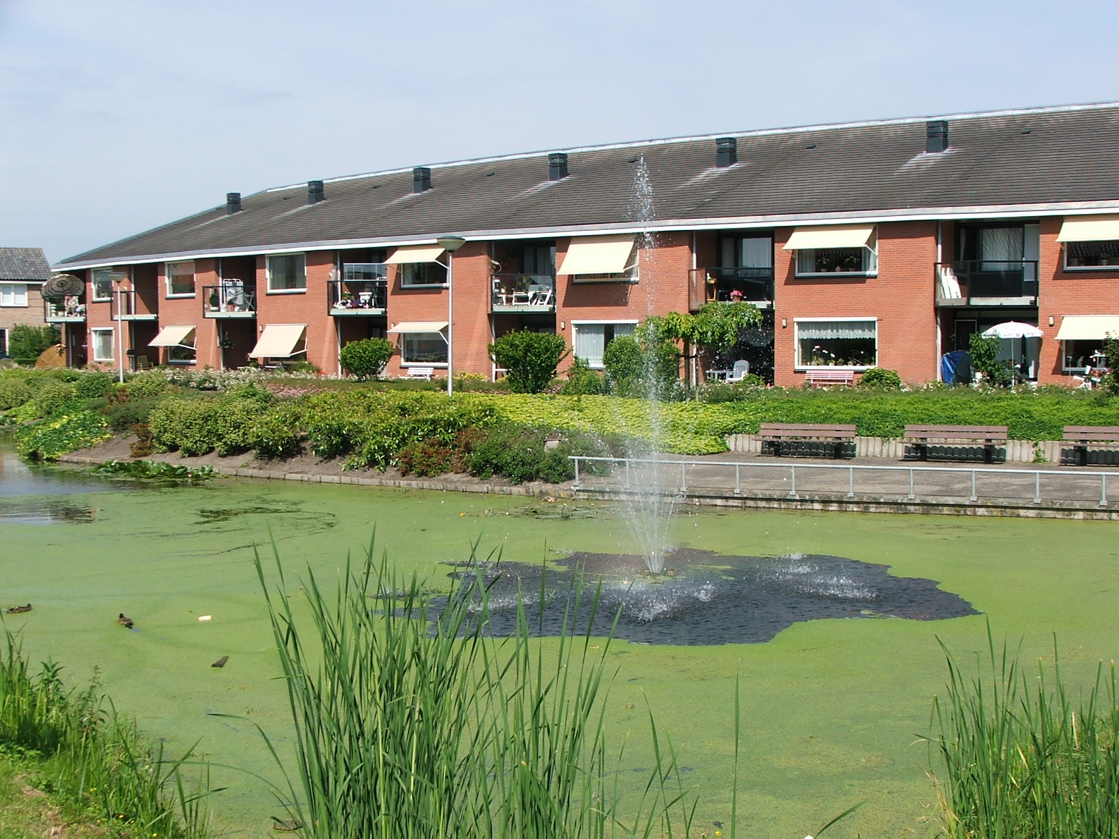 Te huur: Leimuiden / €972,00 p.m. / 59,00m2