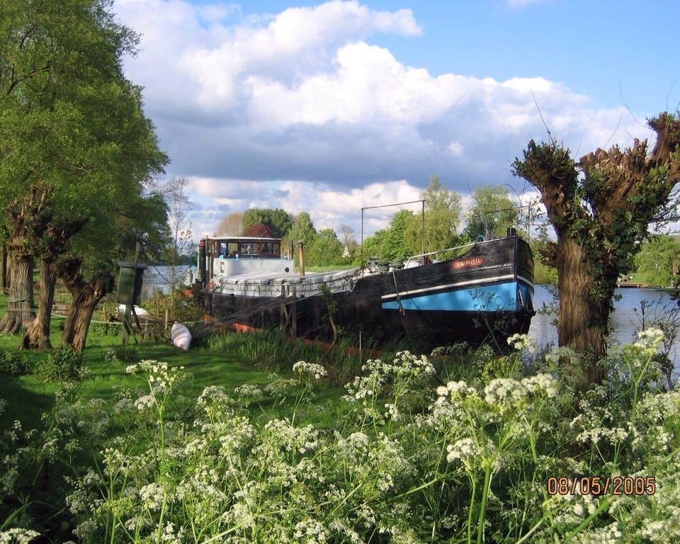 Te huur: Vreeland / €550 p.m. / 20m2