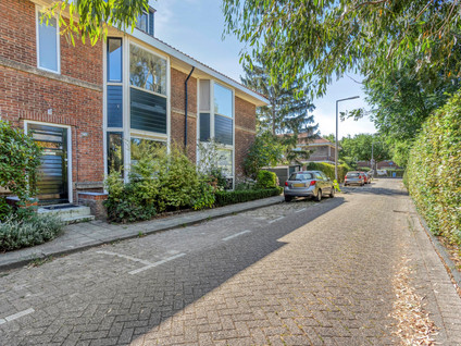 Te huur: Rotterdam