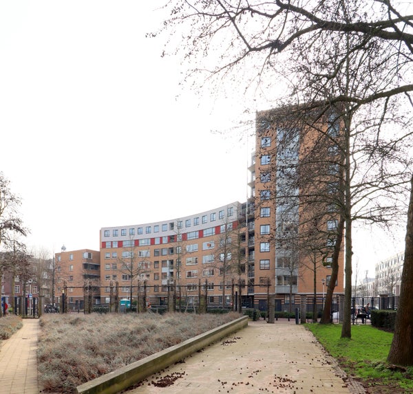 For rent: Utrecht