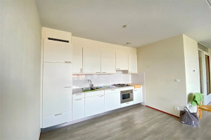 For rent: Rijswijk (ZH)