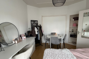 For rent: Groningen