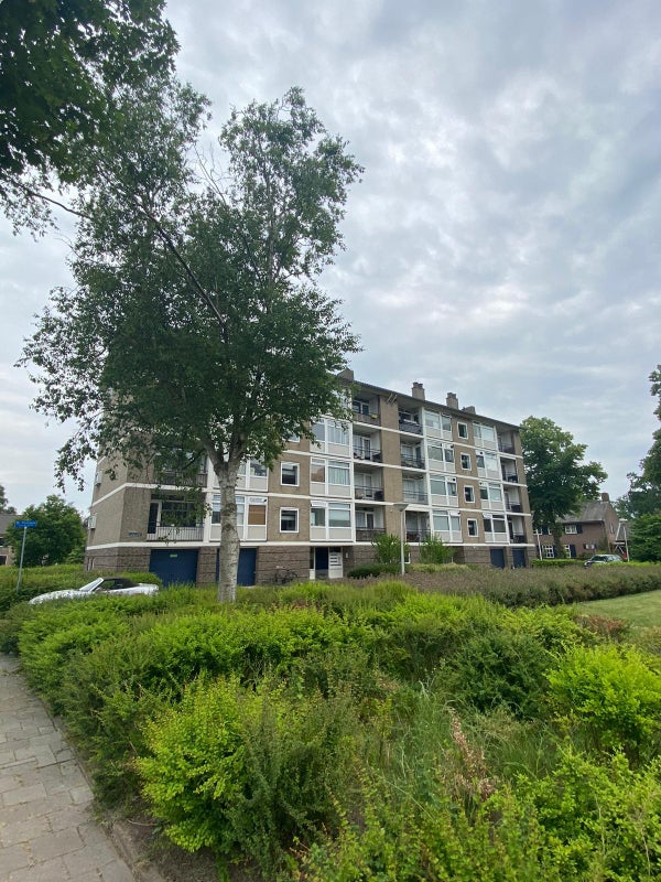 Te huur: Eindhoven / €725,00 p.m. / 35,00m2