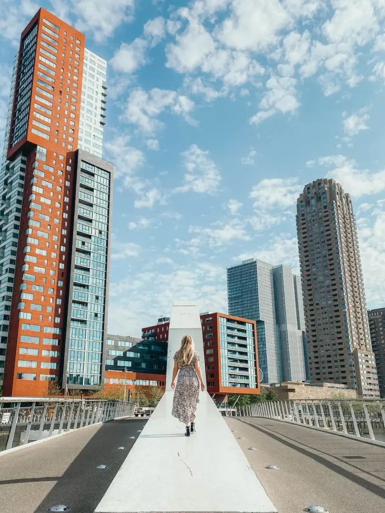 For rent: Rotterdam