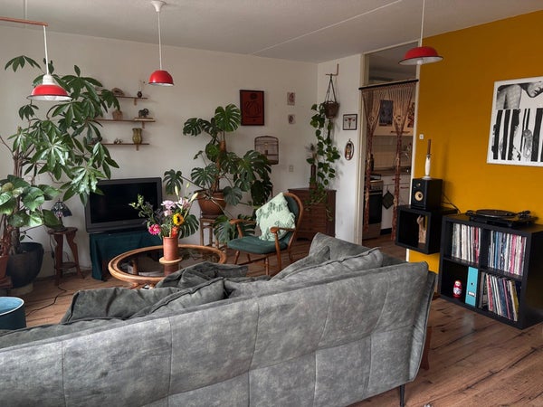 Te huur: Den Haag