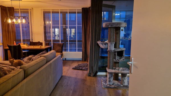 For rent: Utrecht