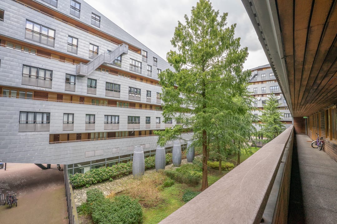 For rent: Amsterdam
