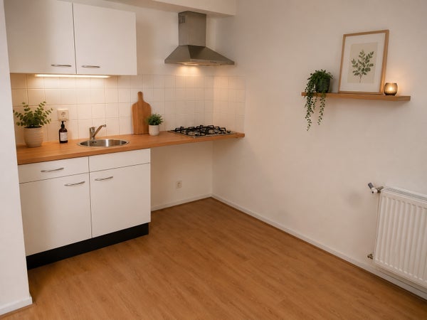 Te huur: Leiden / €1005 p.m. / 30m2