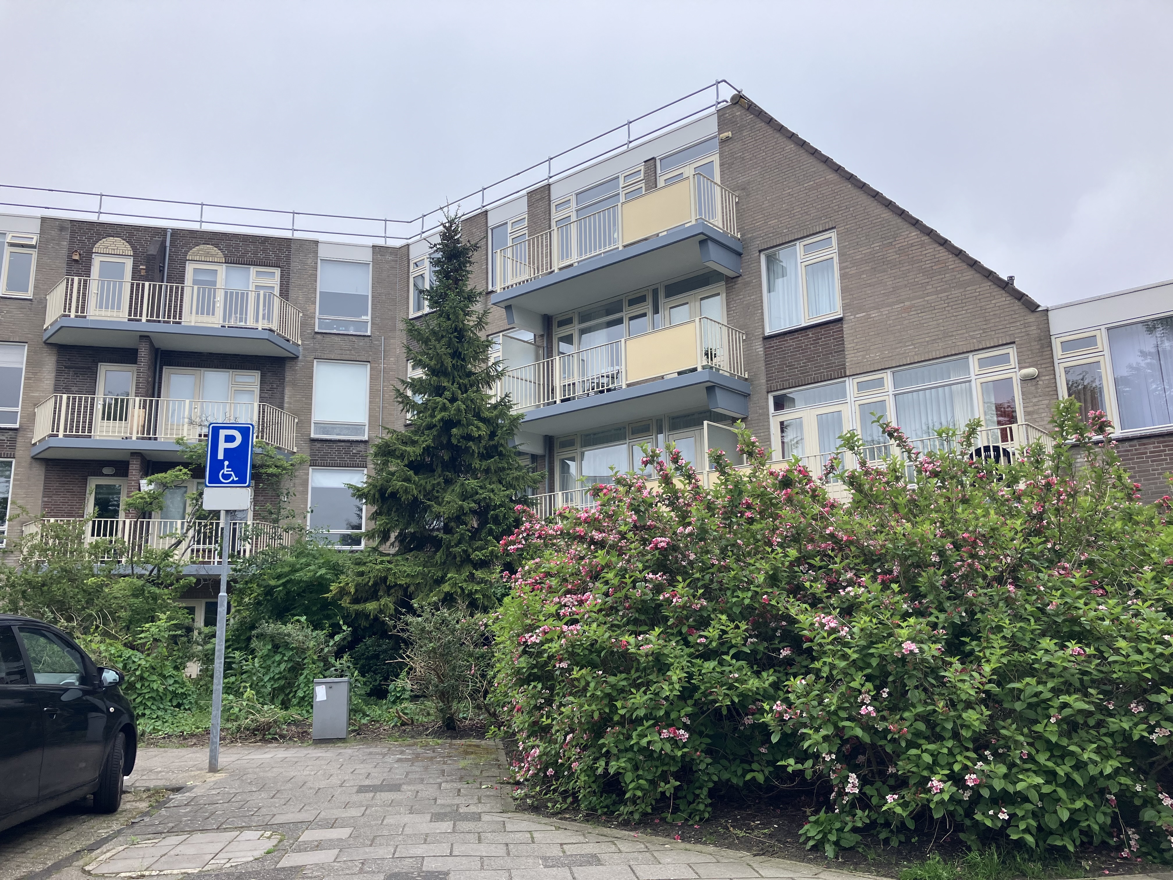 For rent: Leiden / €736 p.m. / 82m2
