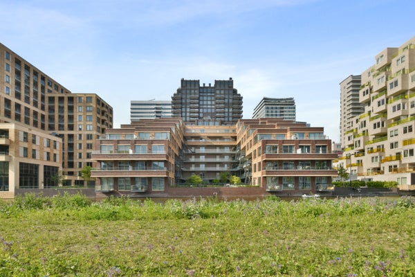 For rent: Amsterdam