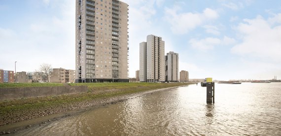 For rent: Rotterdam