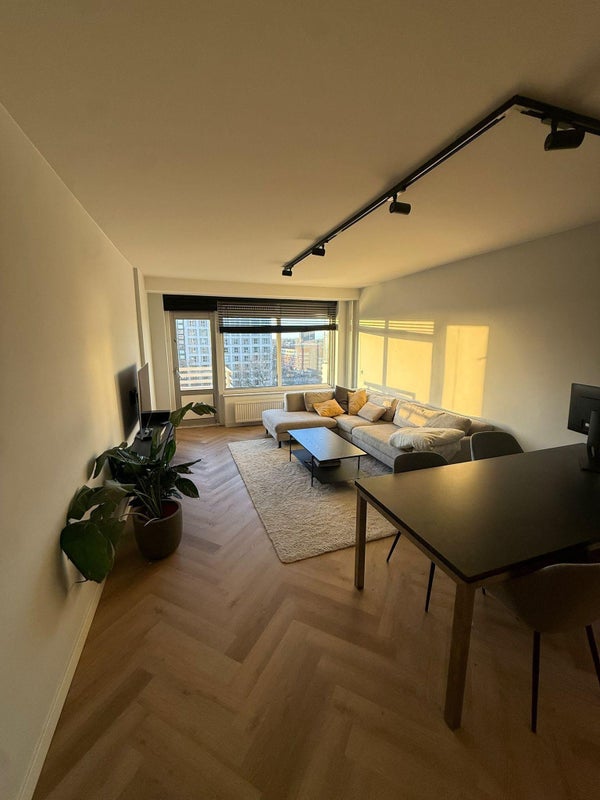 For rent: Amsterdam