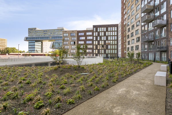 For rent: Leiden / €1090 p.m. / 46m2