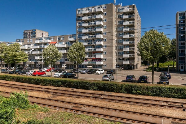 Te huur: Rotterdam