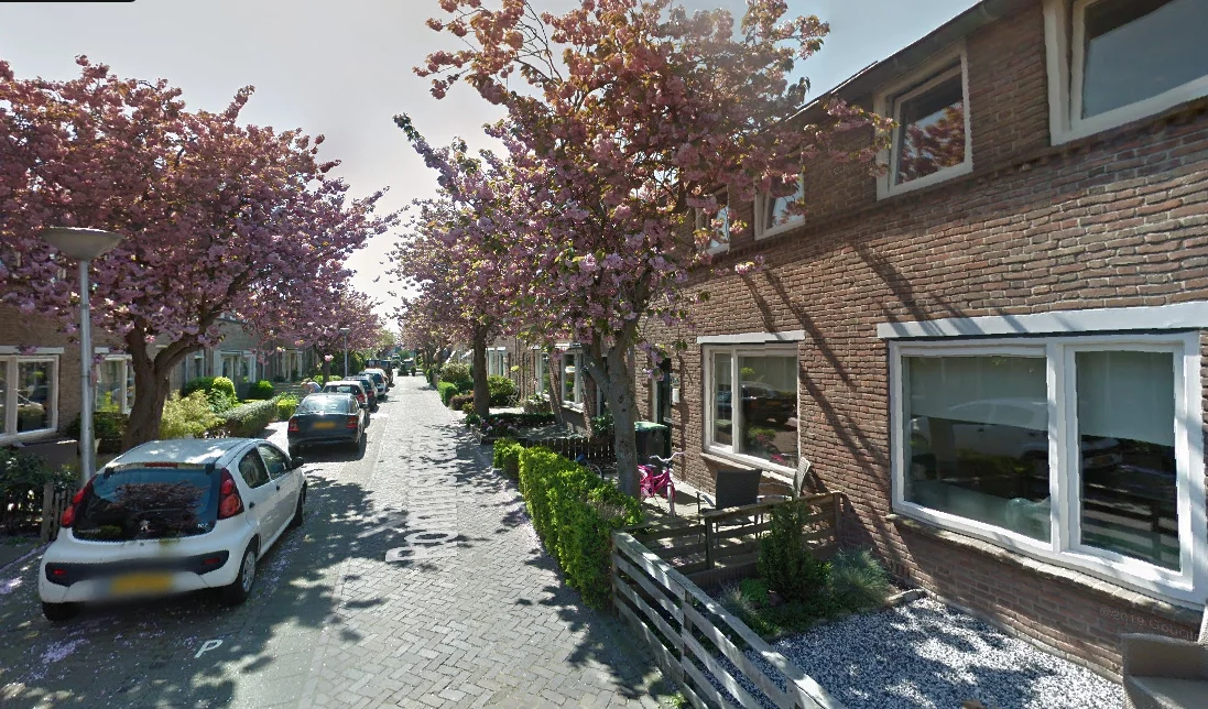 Te huur: Lisse / €716 p.m. / 54m2