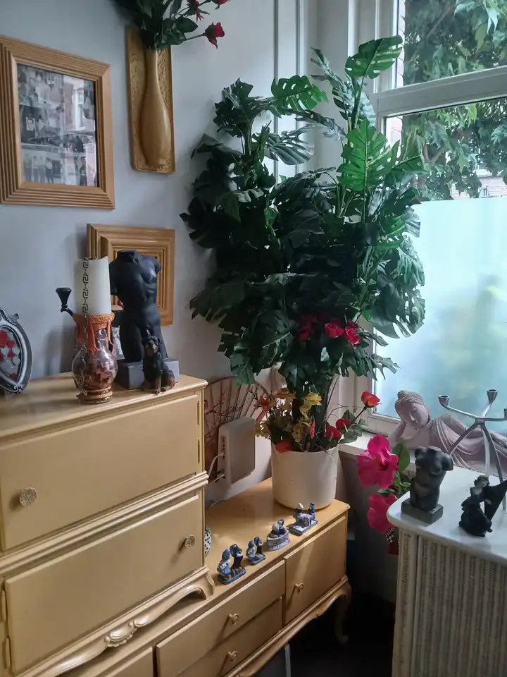 For rent: Amsterdam