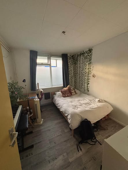 Te huur: Groningen / €455,00 p.m. / 11,00m2