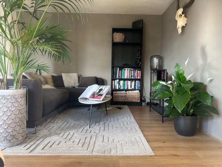 Te huur: Amsterdam