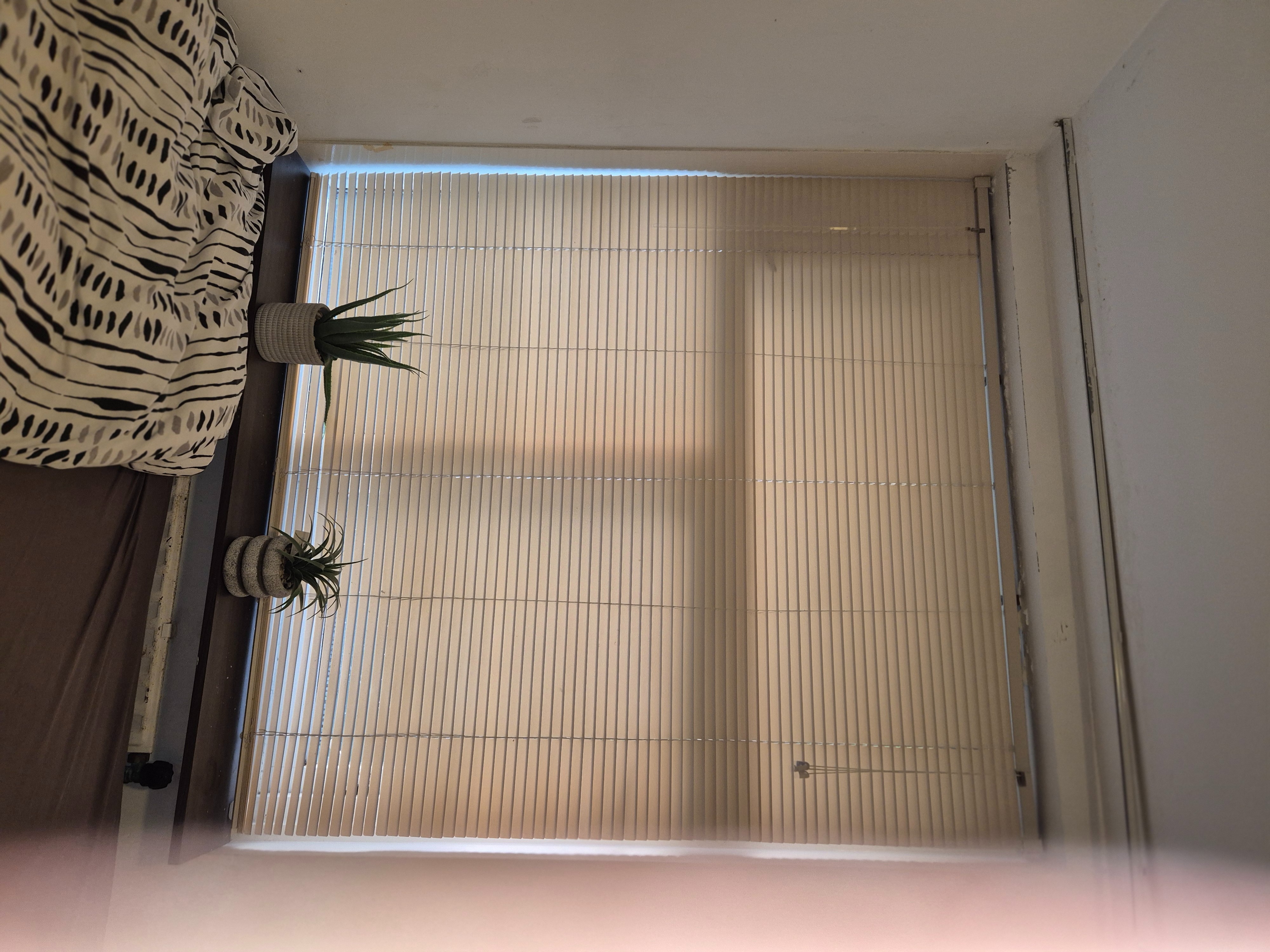 For rent: Amsterdam